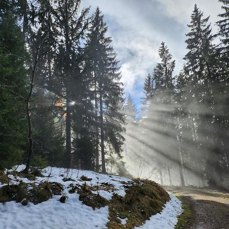 Ferienwohnung Herzlicht Titisee-Neustadt Ngoại thất bức ảnh